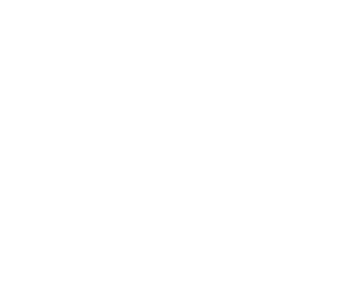 Блог Нирваны